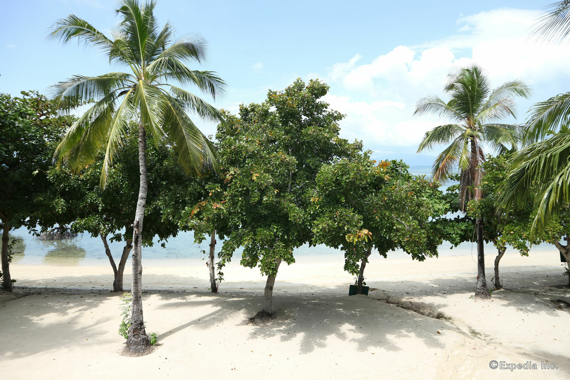 Dos Palmas Island Resort & Spa Puerto Princesa Exterior foto
